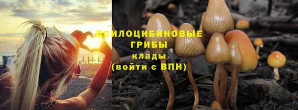 spice Костерёво