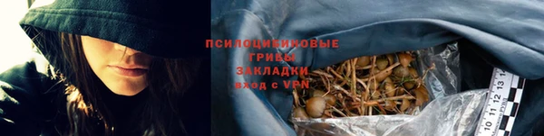МДПВ Корсаков