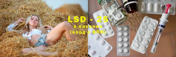 ECSTASY Краснослободск