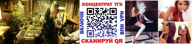 Купить где  Белый  Дистиллят ТГК концентрат 
