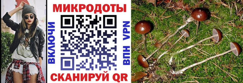 Псилоцибиновые грибы Psilocybine cubensis  Купить закладки  Белый 